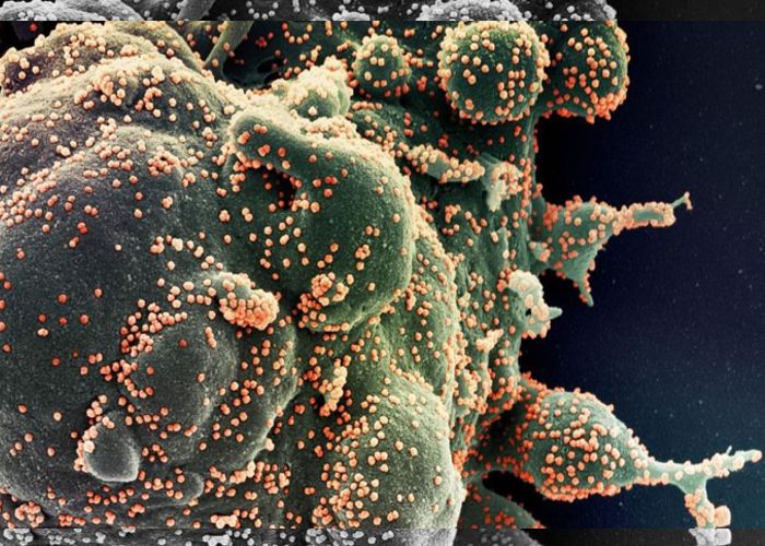 Fiocruz confirma mais 3 casos da nova subvariante da covid-19