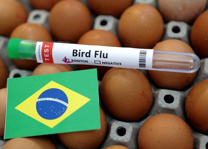 Governo decreta estado de emergência zoossanitária em todo o país