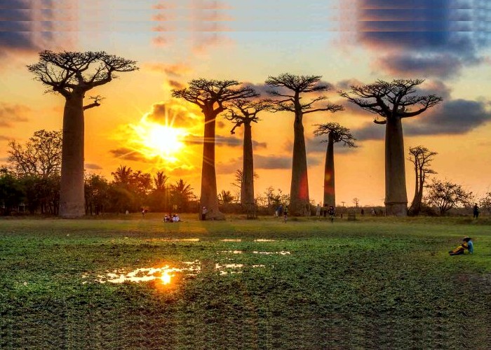 Segurança nos países: Para onde não se deve viajar