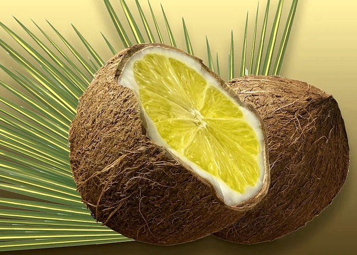 Suco de limão com óleo de coco podem ajudar a eliminar os cabelos brancos