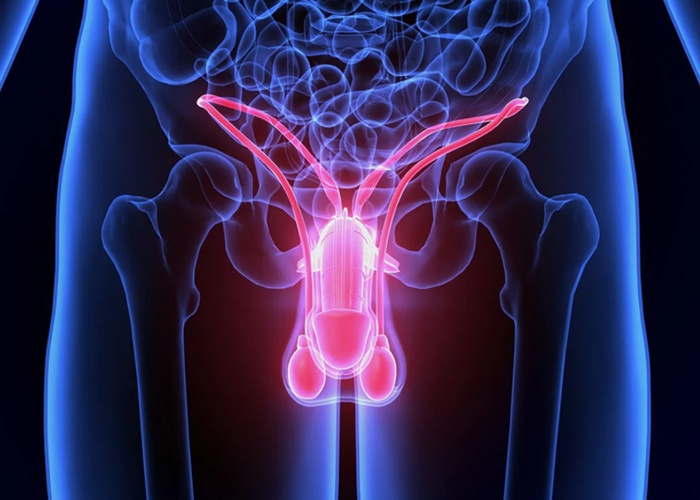 10 sinais de disfunção erétil que muitos homens ignoram por vergonha