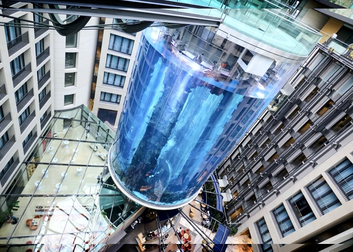 Aquário gigante estoura e peixes exóticos caem em avenida de Berlim