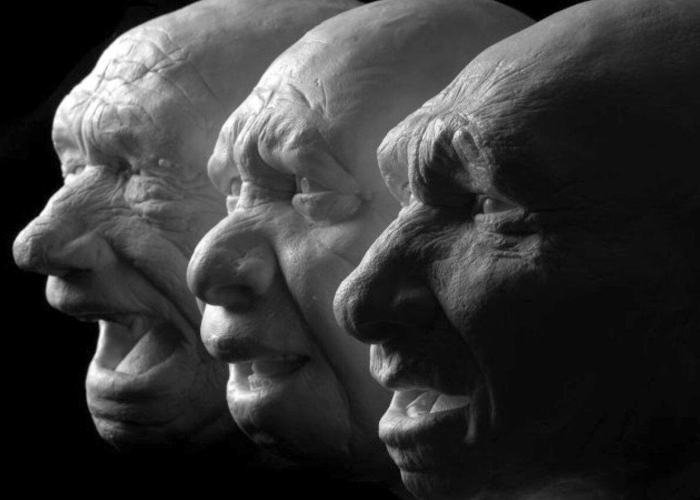 Híbrido de Humano e Chimpanzé existiu e foi morto por médicos, garante cientista