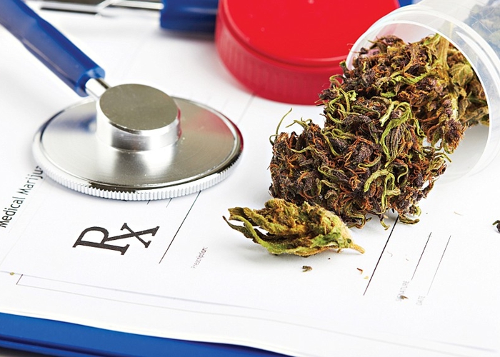 Cannabis medicinal: Anvisa aponta que importação paraibana cresce 128% em 24 meses