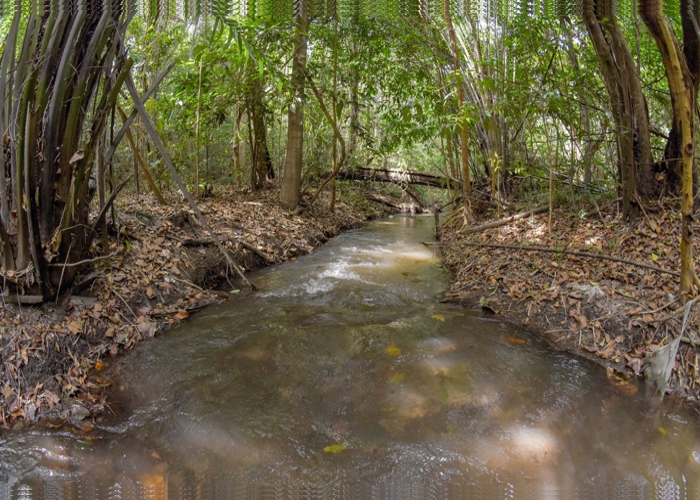 Prefeitura de Santa Rita cria primeira Área de Proteção Ambiental para proteger Rio Tibiri