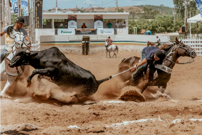 Decreto autoriza o retorno das vaquejadas e dos eventos agropecuários na Paraíba