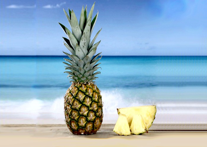 Paraíba é o segundo maior produtor de abacaxi do Brasil