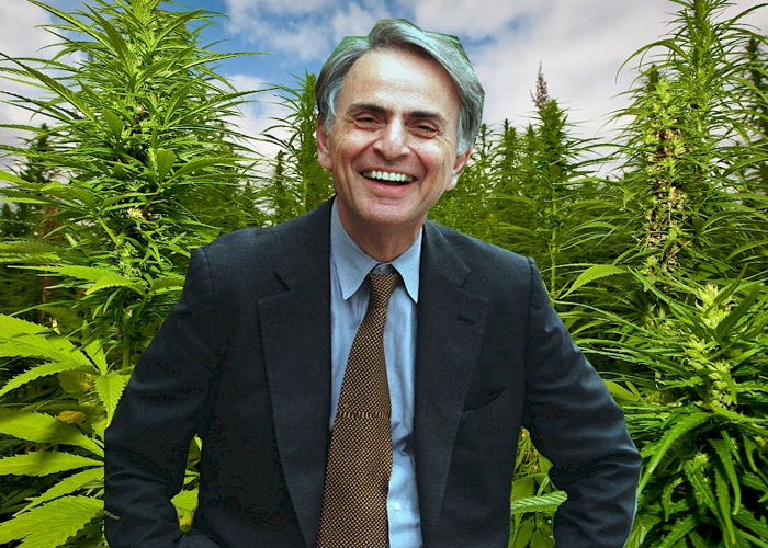 Brisa das estrelas: Carl Sagan fumava e defendia o uso ordenado da maconha
