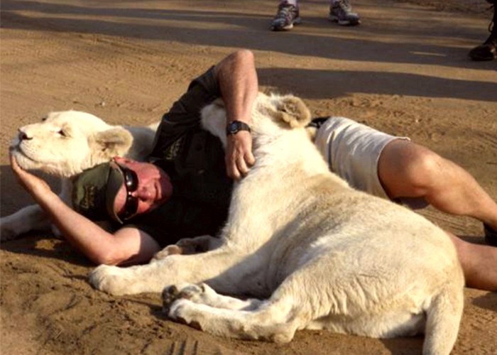 Ambientalista é morto por leoas que cuidava desde filhotes