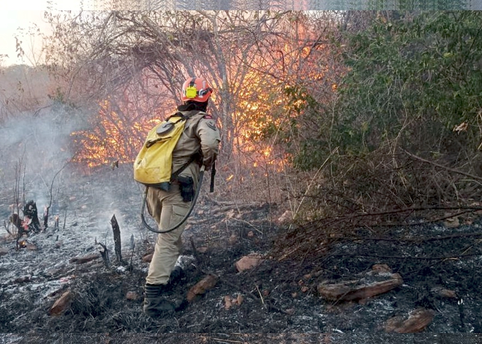 Incêndio em Serra de São José da Lagoa Tapada pode ter sido provocado por ação humana