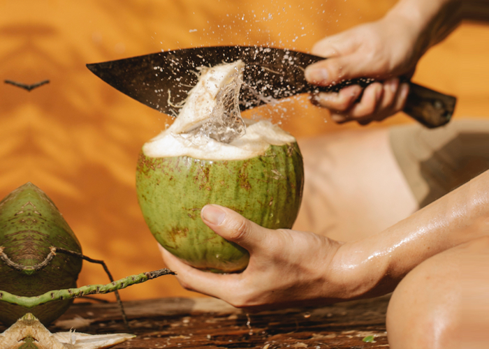 Pesquisadores da Universidade Federal Fluminense usam resíduos de coco para tratamento de água