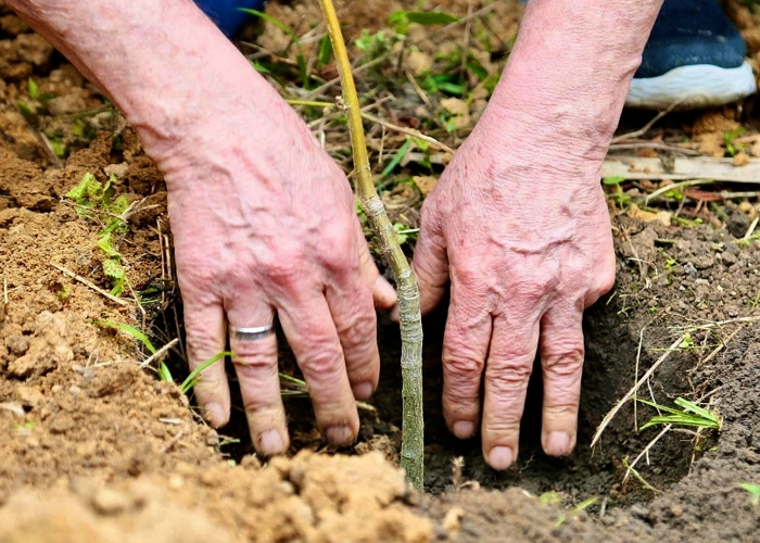 Invasões do MST avançam; Lula mantém silêncio e acentua desgaste com o agro