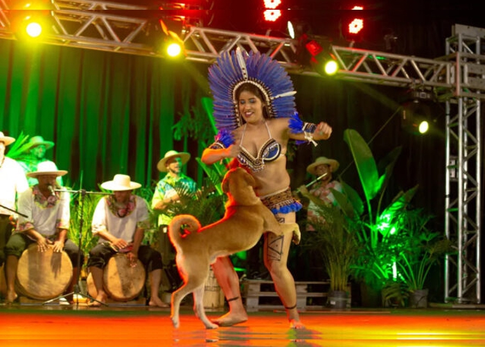 Cachorro caramelo invade palco e dança com mulher