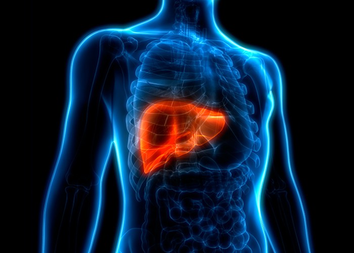 Veja os 8 principais sintomas de Gordura no Fígado e como tratar