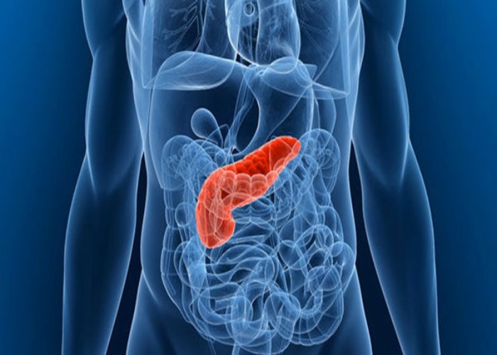 Descubra os 10 sintomas que podem indicar que você está com câncer no pâncreas