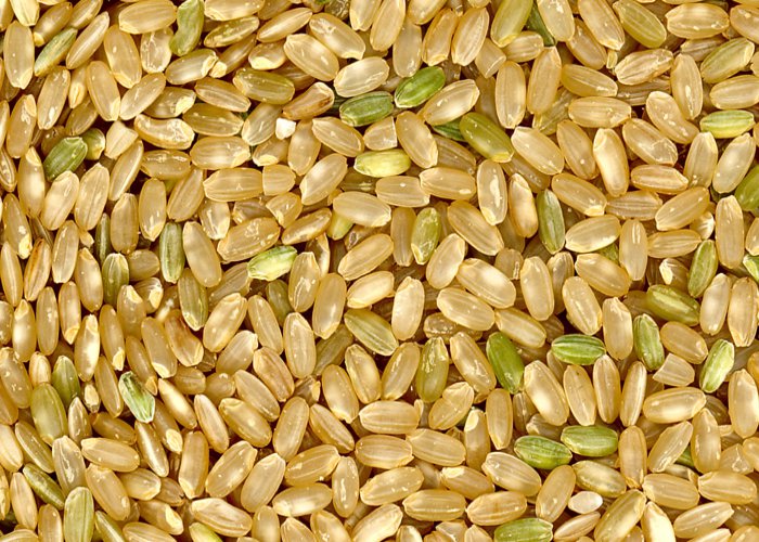 Produção de arroz no Brasil deve chegar ao menor nível em 25 anos