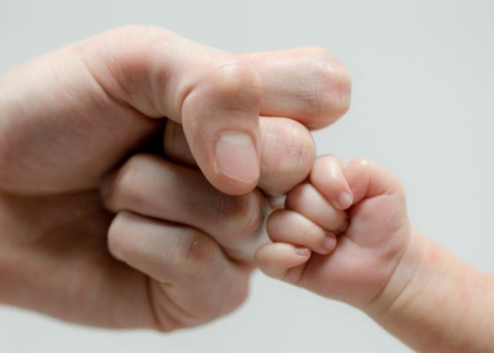 Supremo manda Congresso regulamentar licença-paternidade em até 18 meses