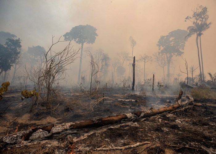 Desmatamento da amazônia triplica no mês de Março