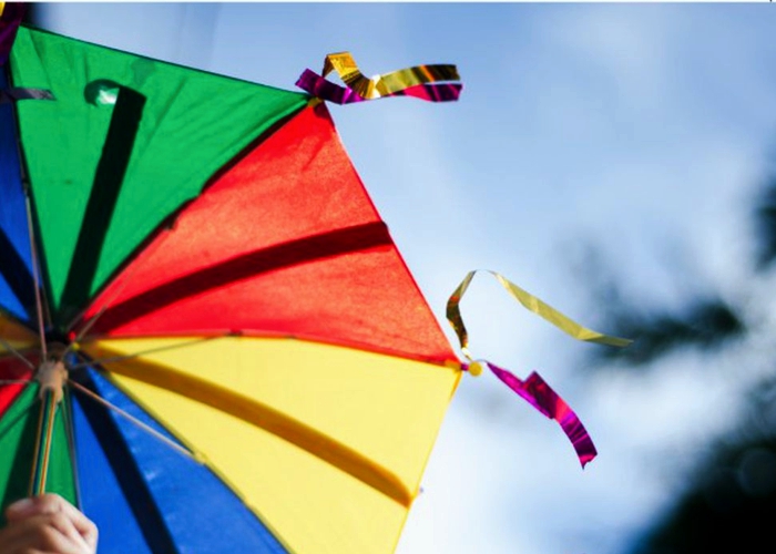 Golpes no Carnaval: Os cuidados com os larápios para não sofrer prejuízos