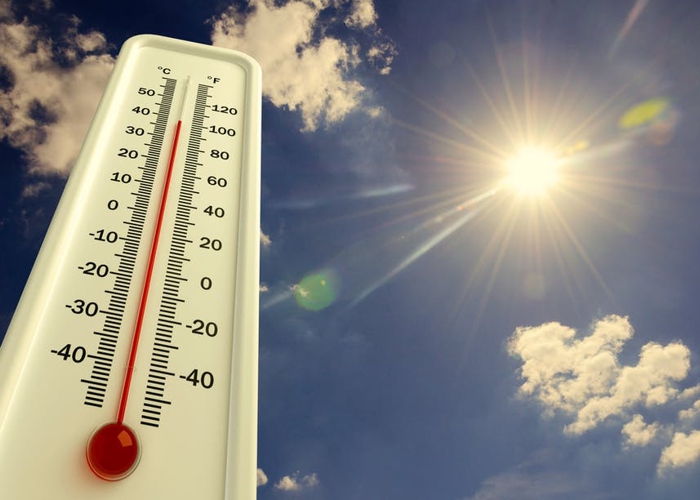 Aquecimento global: as doenças que podem aumentar no Brasil com as mudanças climáticas