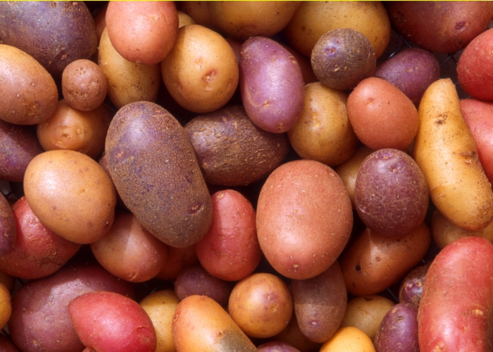 Evite comer muitas batatas se você tiver esta condição médica