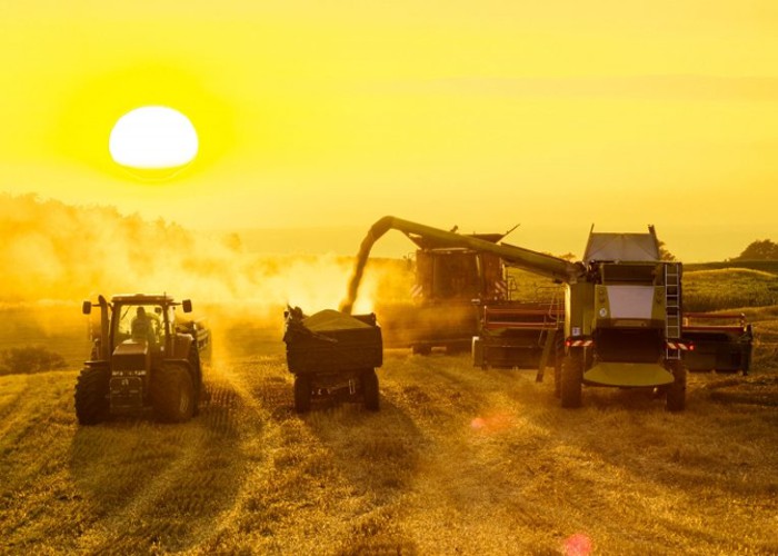 Safra recorde de grãos garante expansão do PIB/Agro