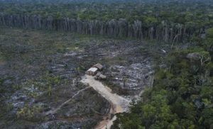 amazonia_desmatamento