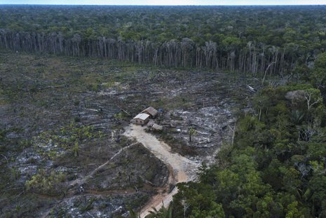 amazonia_desmatamento