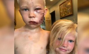 bridger_walker_e_irma